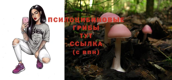 не бодяженный Бородино