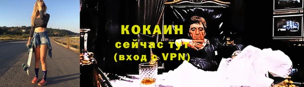 не бодяженный Бородино