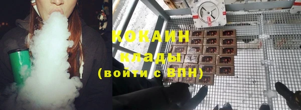 не бодяженный Бородино