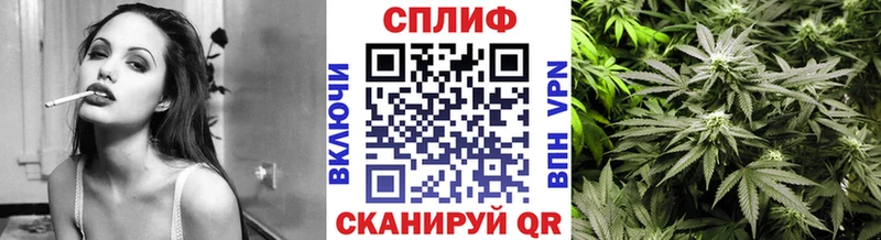 купить наркотик  Палласовка  даркнет телеграм  МАРИХУАНА сатива 